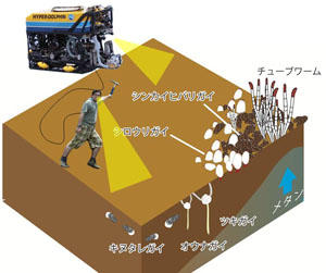 深海の海底下を調べる私（妄想）