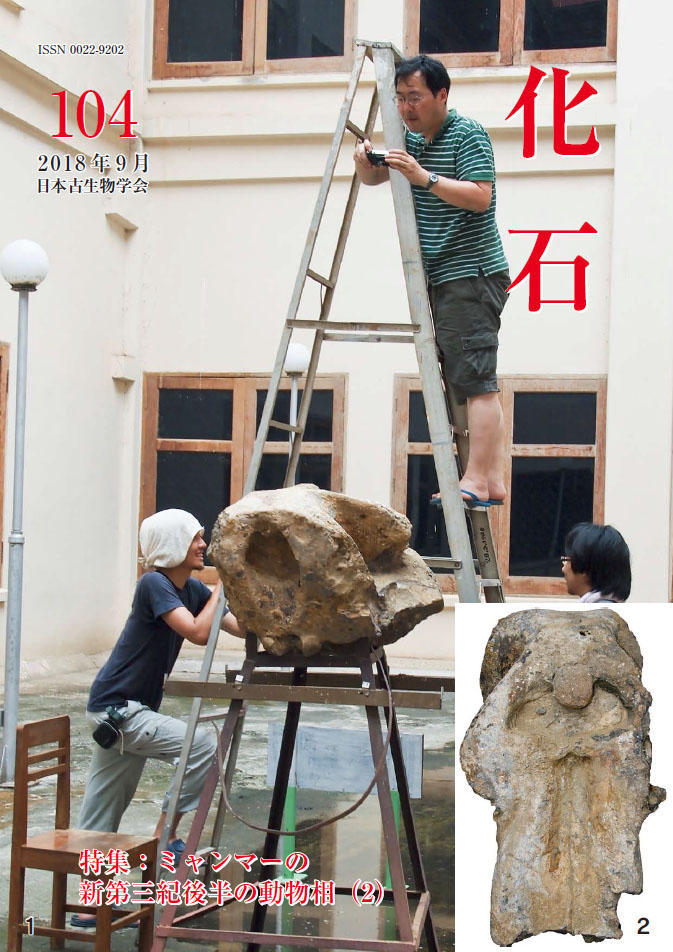 化石104号表紙画像